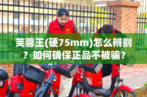 芙蓉王(硬75mm)怎么辨别？如何确保正品不被骗？